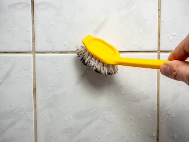 Best Toxic Mold Removal  in Brunswick, MD