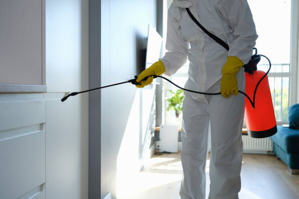 Home Mold Removal in Brunswick, MD