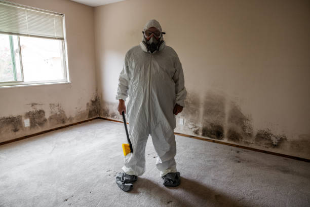 Best Residential Mold Removal  in Brunswick, MD